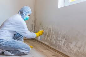 Mold Documentation for Insurance Claims in Woodlynne, NJ